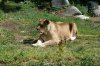 2011-05-07 um 10-27-02.jpg