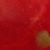 20130726_part.png