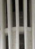 Wasistes_2_PNG.png