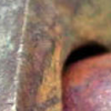 20130726.png