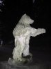 IMG_3682.jpg
