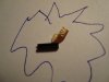 DSC00256.jpg