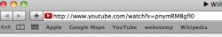 safari.jpg