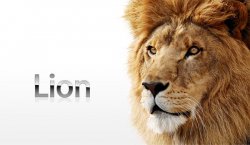 lion1.jpg