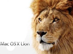 mac_lion.jpg