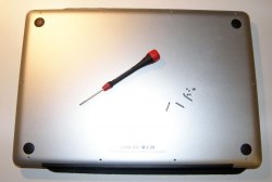 Backplate.JPG