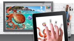 adobe2.jpg