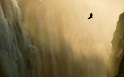 Eagle & Waterfall.jpg