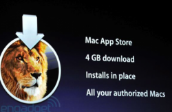 lion.png