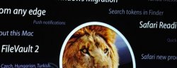 lion.jpg