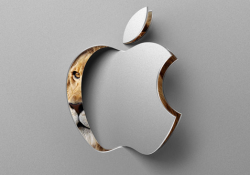 mac-os-x-lion.png