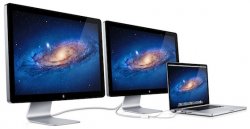 lion_display_daisy.jpg lion_display_daisy.jpg