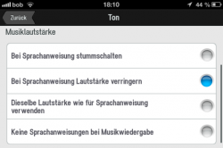 copilot_einstellungen2.png