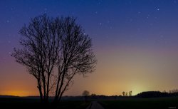 IMG_0191.JPG