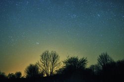 IMG_0192.JPG