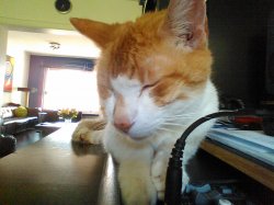 IMG_0001.jpg IMG_0001.jpg
