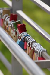 IMG_8287k.jpg