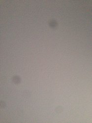 ImageUploadedByApfeltalk1405452839.365756.jpg