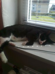 Foto0088.jpg