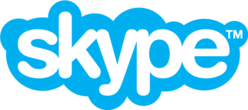 Skype-logo-Feb_2012_RGB_500.png
