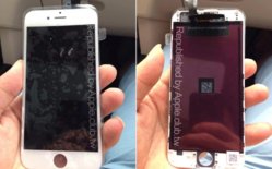 iphone6_appleclub_white-800x497.jpg