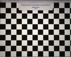 LG-Display1.png