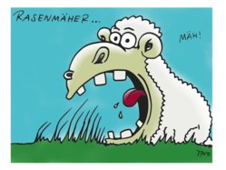 rasenmaeher_1382005.jpg