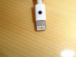 DSC01006.JPG