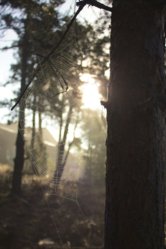 IMG_3645.jpg