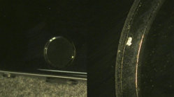 ImageUploadedByApfeltalk1412959501.593123.jpg