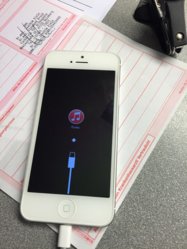 ImageUploadedByApfeltalk1413130474.845134.jpg