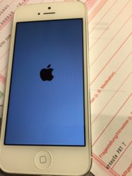 ImageUploadedByApfeltalk1413131304.532639.jpg