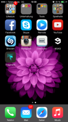 IMG_0398.PNG.png