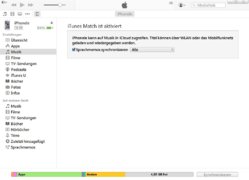 iTunesmusik.JPG