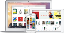 itunes-store-2014.png