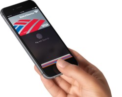 apple-pay-hand.png