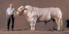 super_cow_9.jpg
