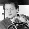 groundhogday.jpg