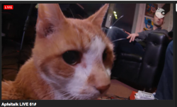 e.png