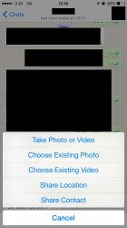 IMG_1164.PNG