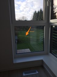 ImageUploadedByTapatalk1419502726.334829.jpg
