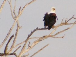 DSCF0138.jpg