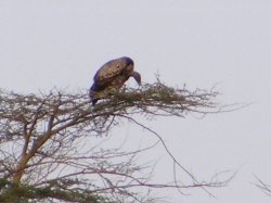 DSCF0409.jpg