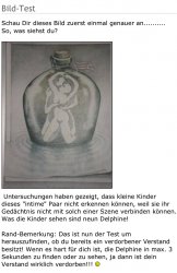 Bild-Test.jpg