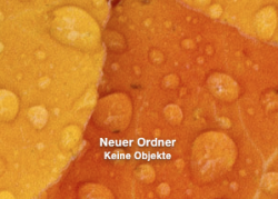 ordner.png
