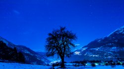 IMG_4855.jpg