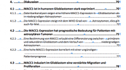 Inhaltsverzeichnis Problem Formatierung.png Inhaltsverzeichnis Problem Formatierung.png
