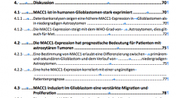 Inhaltsverzeichnis Problem Formatierung.png