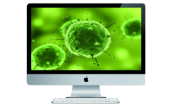 imac-virus.png