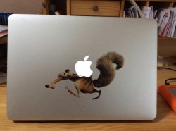 ImageUploadedByApfeltalk1430151522.009080.jpg